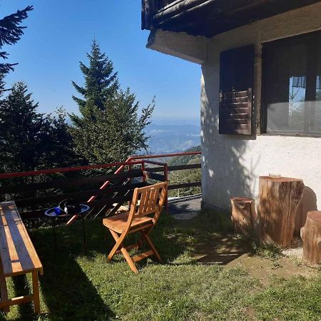 קופאוניק Holiday House Nesovic מראה חיצוני תמונה