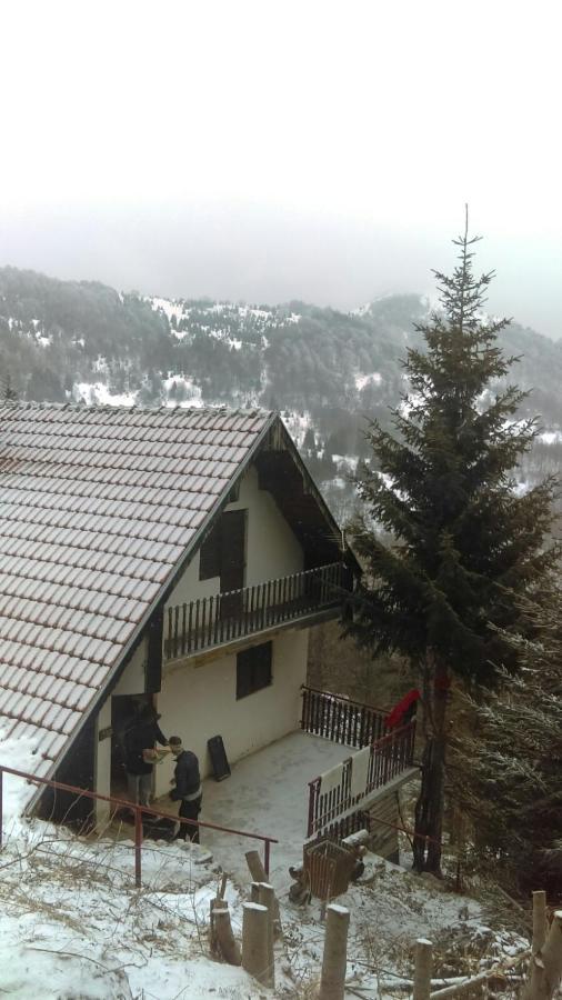 קופאוניק Holiday House Nesovic מראה חיצוני תמונה