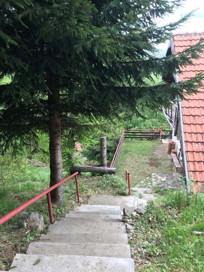 קופאוניק Holiday House Nesovic מראה חיצוני תמונה